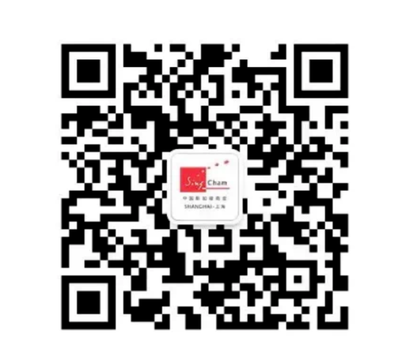 image-20231219164740-21