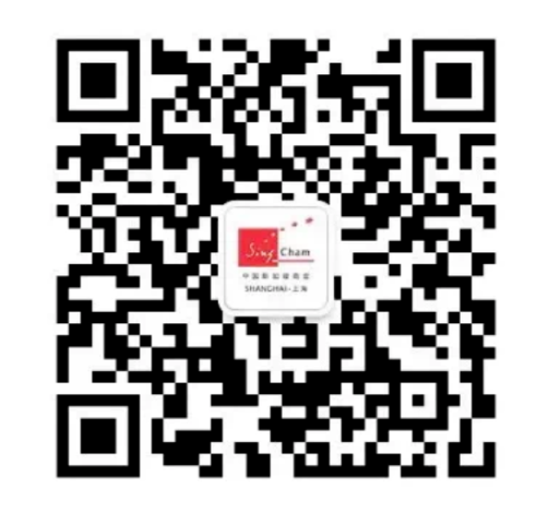 image-20231219170325-19