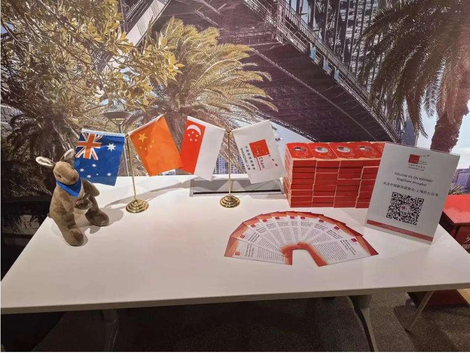 image-20240313154951-14